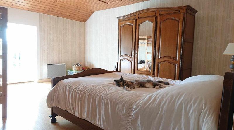 Maison - 55 m² - 2 pièces