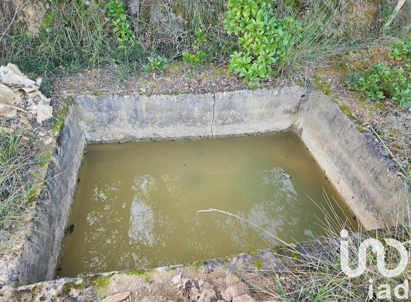 Terrain - 15 645 m²