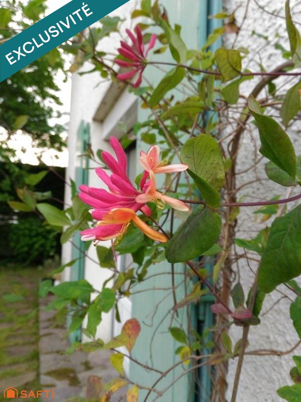 Maison - 216 m² - 6 pièces