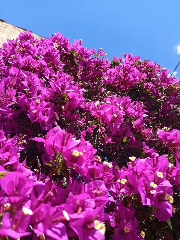 Villa - 146 m² - 6 pièces