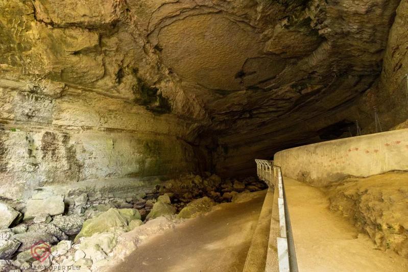 Maison de maîtres - 472 m² - 19 pièces