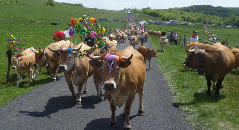 Fête de la Transhumance au Col de Bonnecombe et Festi'Rando