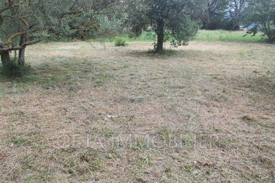 Terrain - 1 654 m²