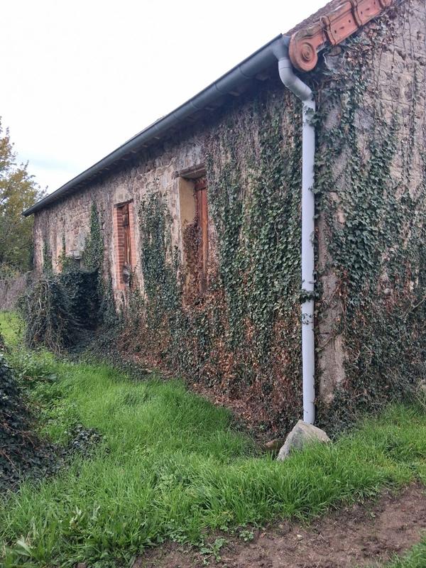Ferme - 300 m² - 4 pièces