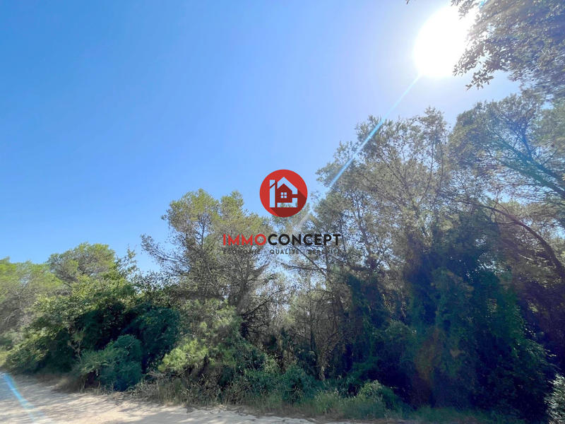 Terrain de loisirs - 14 950 m²