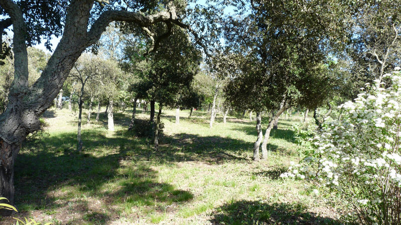 Maison - 250 m² - 6 pièces