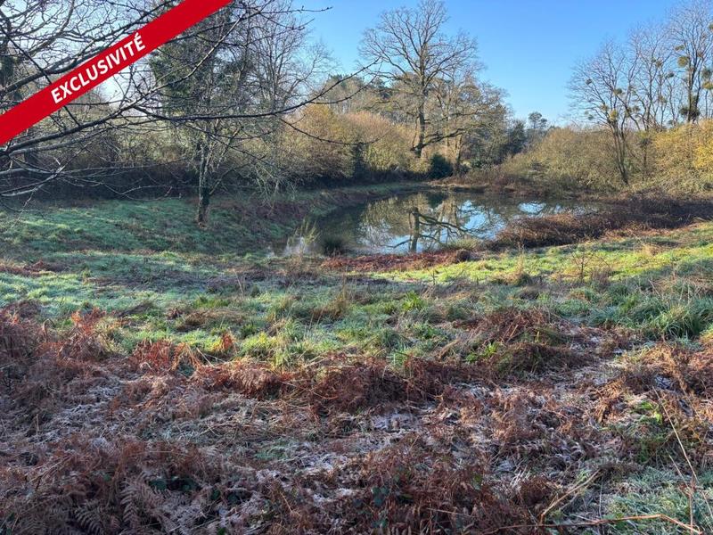 Terrain de loisirs - 3 800 m²