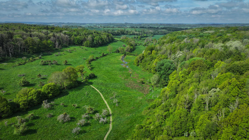 Soirée de présentation de la "Libre-évolution"