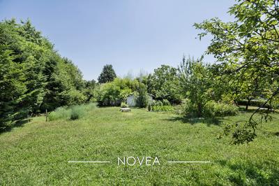 Terrain - 1 356 m²