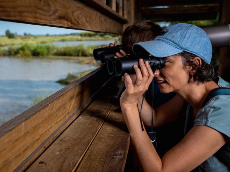Visite guidée de Terres d'Oiseaux