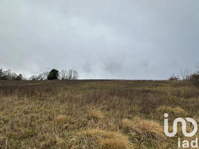 Terrain - 10 748 m²