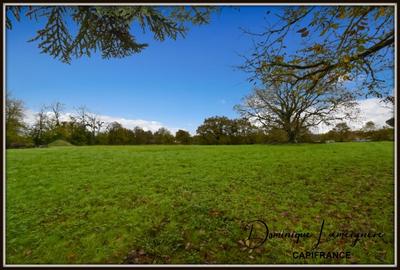 Terrain constructible - 943 m²