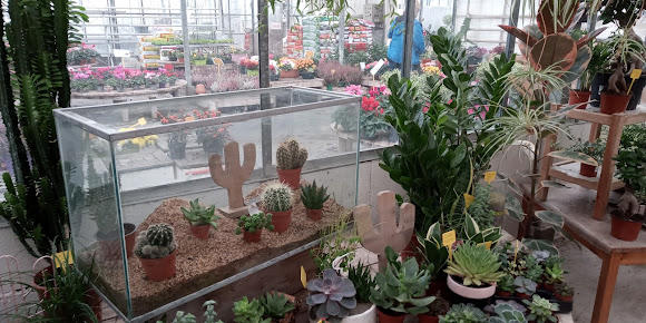 Aux Serres Hermitoises