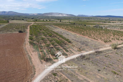 Terrain agricole - 21 895 m²