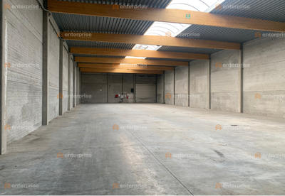 Local d'activité / Entrepôt - 1 000 m²