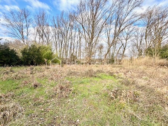 Terrain de loisirs - 3 066 m²