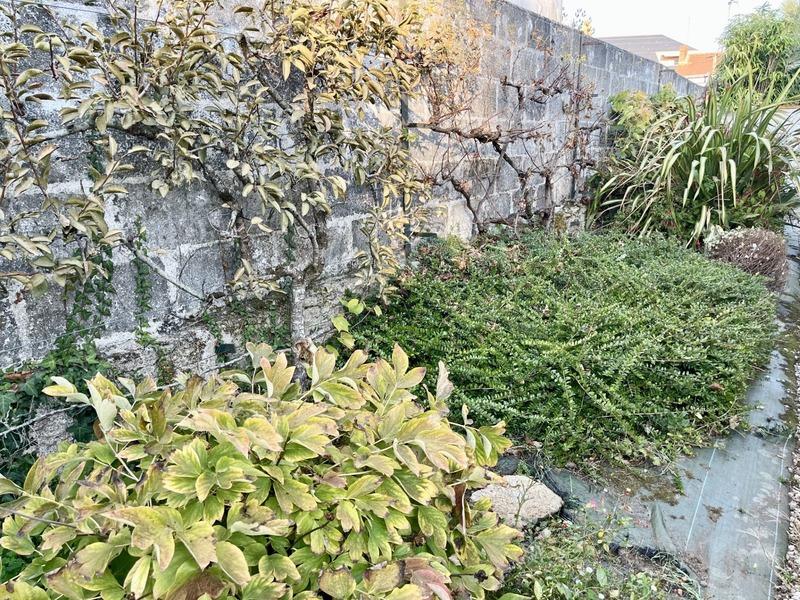 Maison - 74 m² - 4 pièces