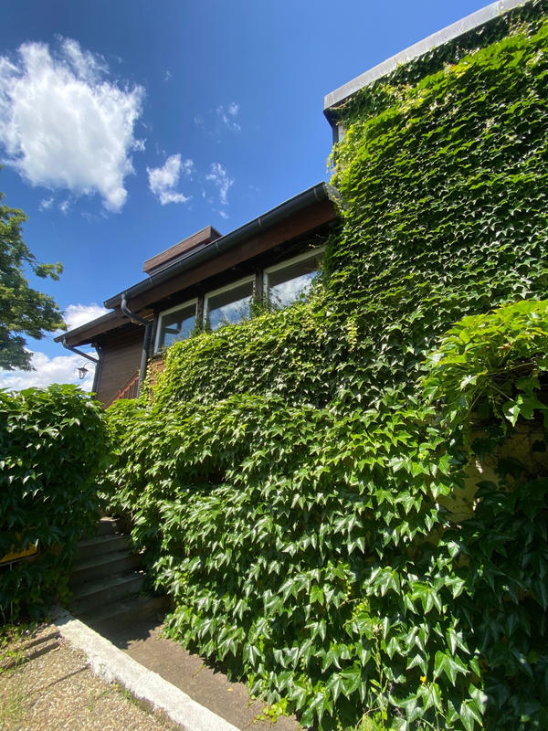 Maison - 195 m² - 6 pièces