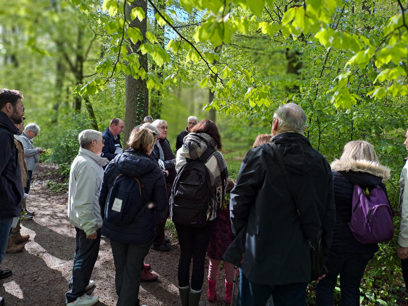 Programme de sorties en forêt 2025