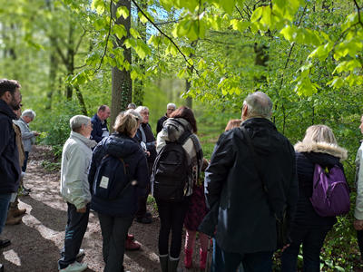 Programme de sorties en forêt 2025