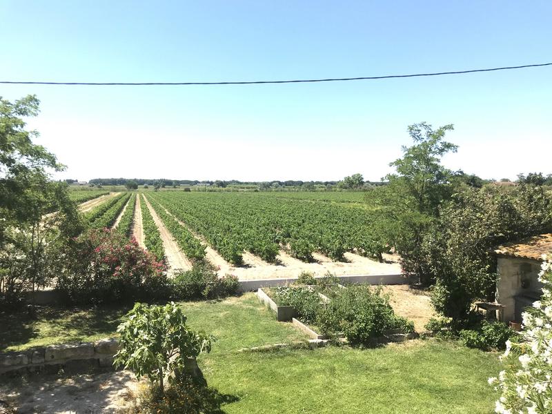 Mas - 258 m² - 10 pièces