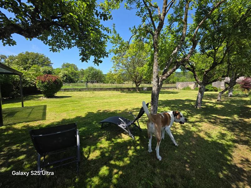 Maison bourgeoise - 166 m² - 5 pièces