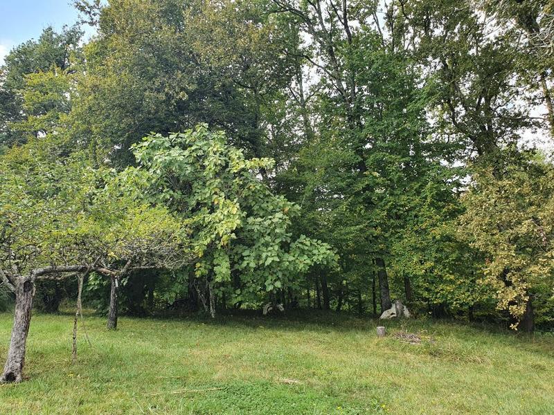 Terrain constructible - 1 900 m²
