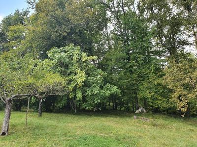 Terrain constructible - 1 900 m²