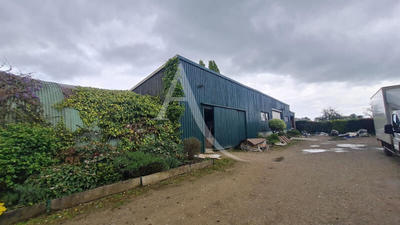Local d'activité / Entrepôt - 1 100 m²