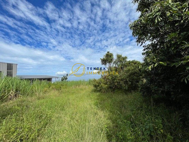 Terrain commercial - 1 000 m²