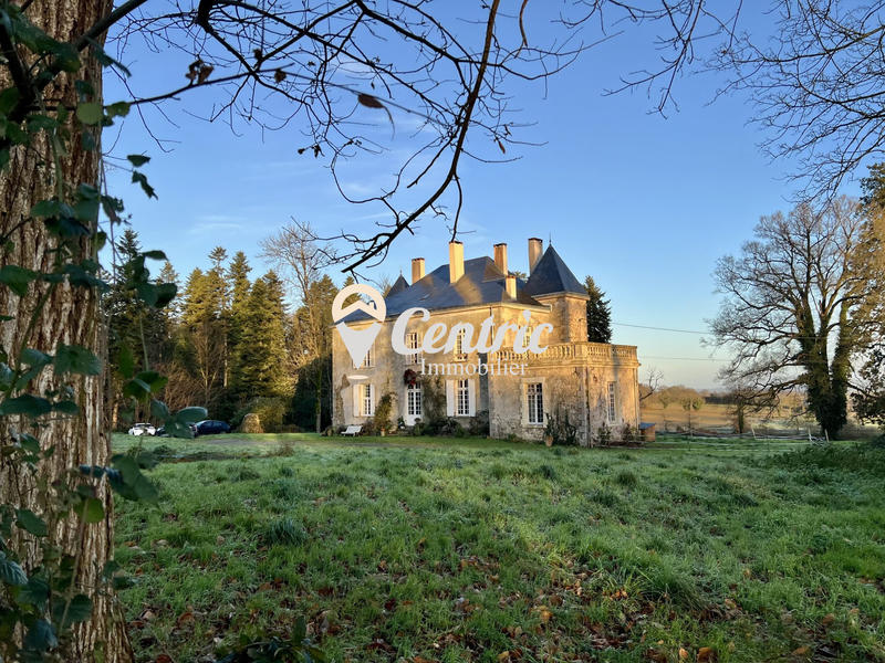 Château - 260 m² - 10 pièces
