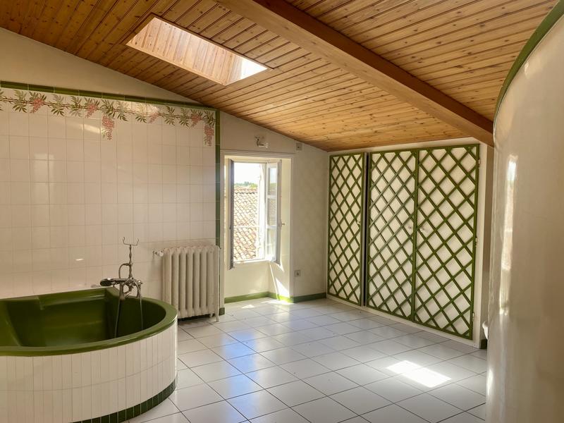 Château - 725 m² - 13 pièces