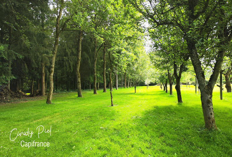 Manoir - 295 m² - 7 pièces