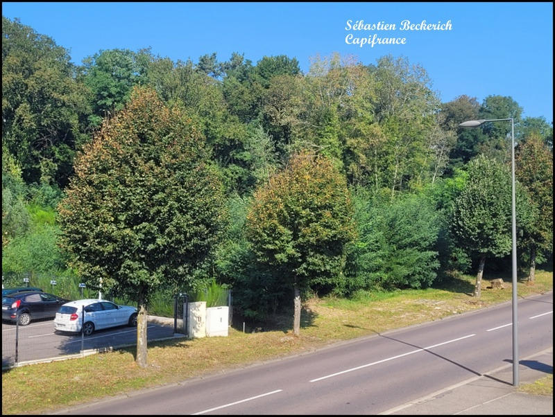 Duplex - 95 m² - 4 pièces