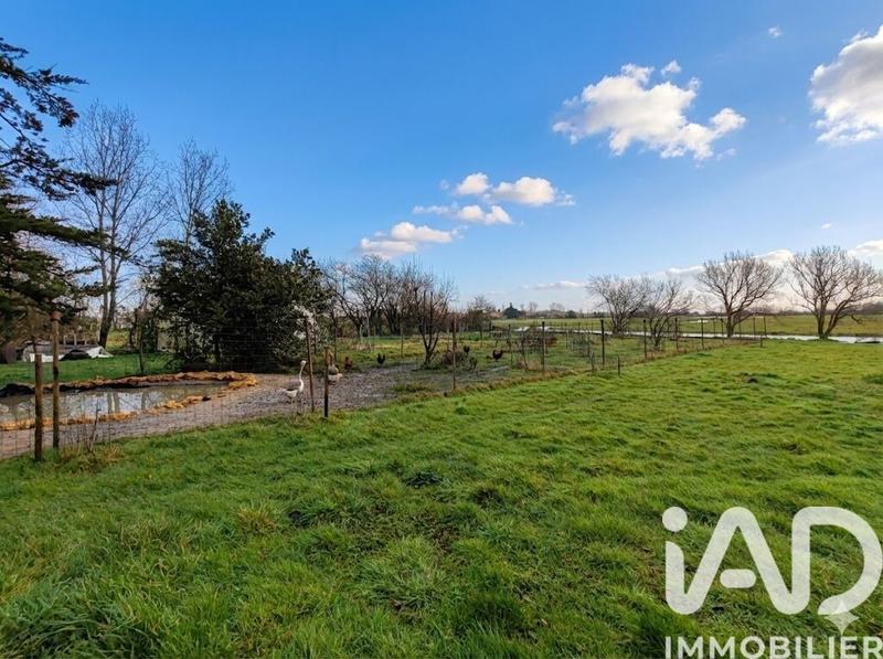 Maison - 147 m² - 5 pièces