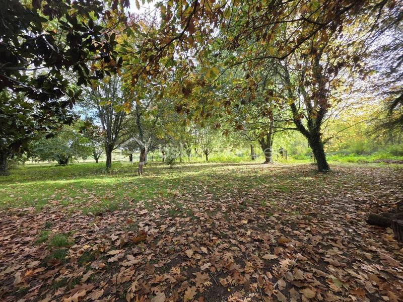 Maison en pierre - 170 m² - 6 pièces