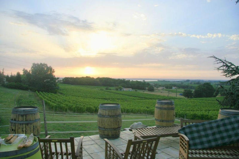 Château - 288 m² - 8 pièces