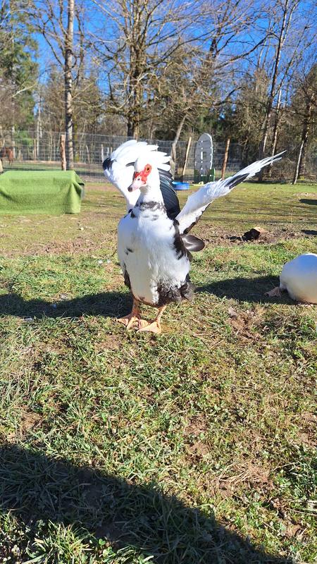 Vacances d'été à Lama Loisirs