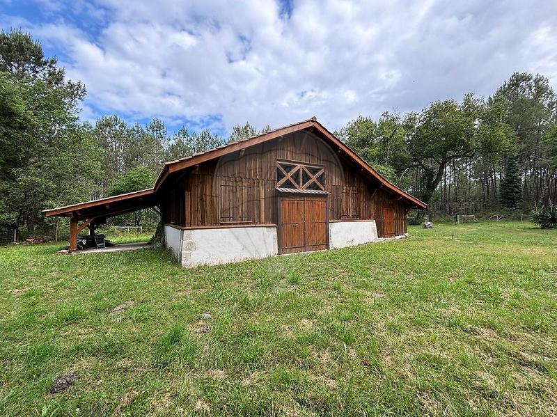 Propriété - 284 m² - 10 pièces