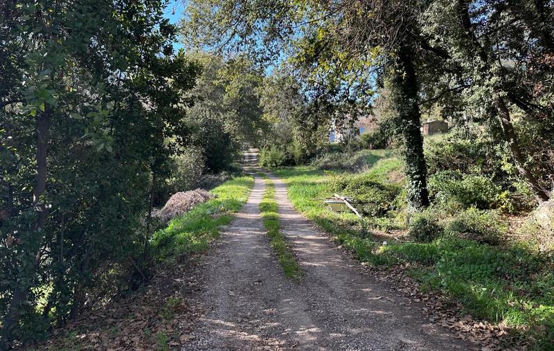 Terrain constructible - 5 000 m²