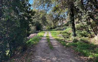 Terrain constructible - 5 000 m²