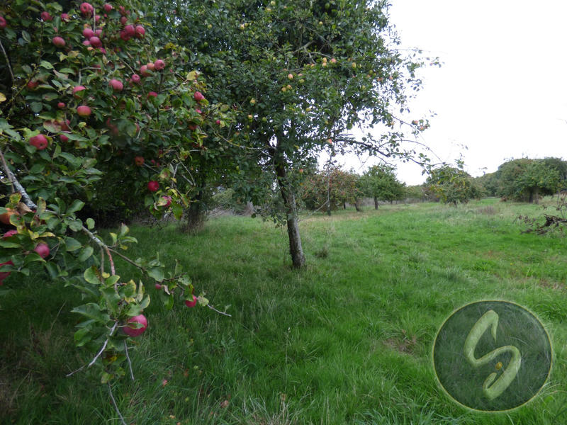 Maison - 100 m² - 3 pièces