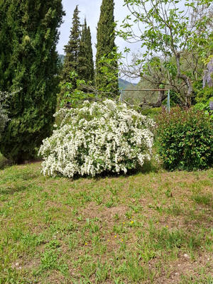 Maison - 43 m² - 3 pièces