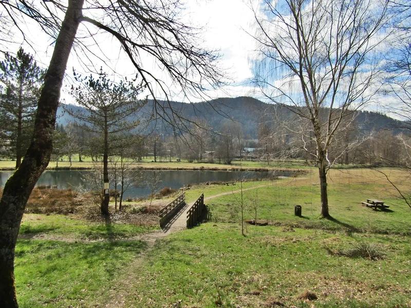 Appartement - 61 m² - 2 pièces