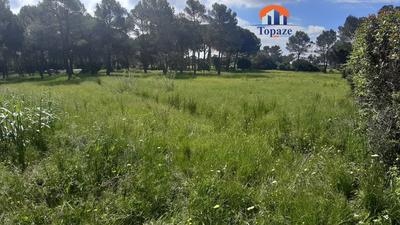 Terrain - 5 558 m²