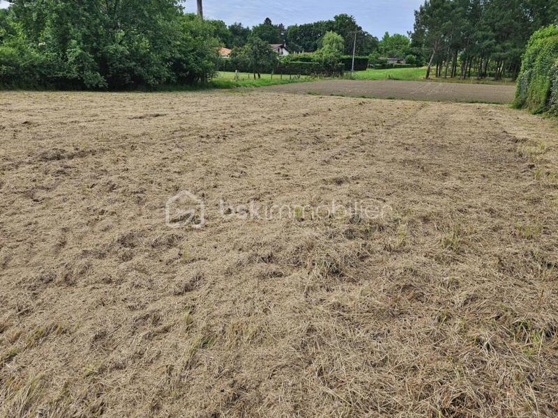Terrain constructible - 1 137 m²