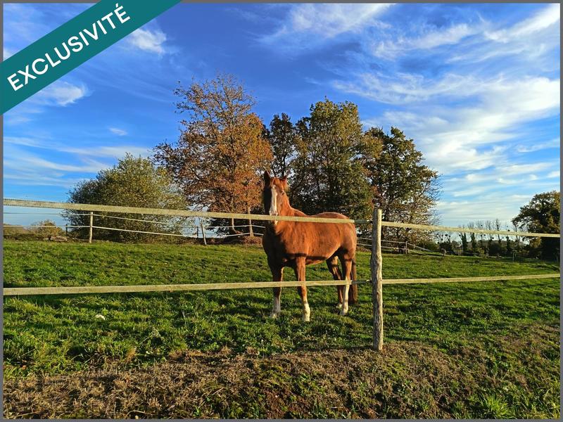 Ferme - 140 m² - 5 pièces