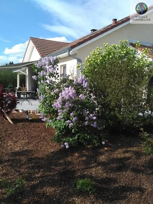 Villa - 149 m² - 6 pièces