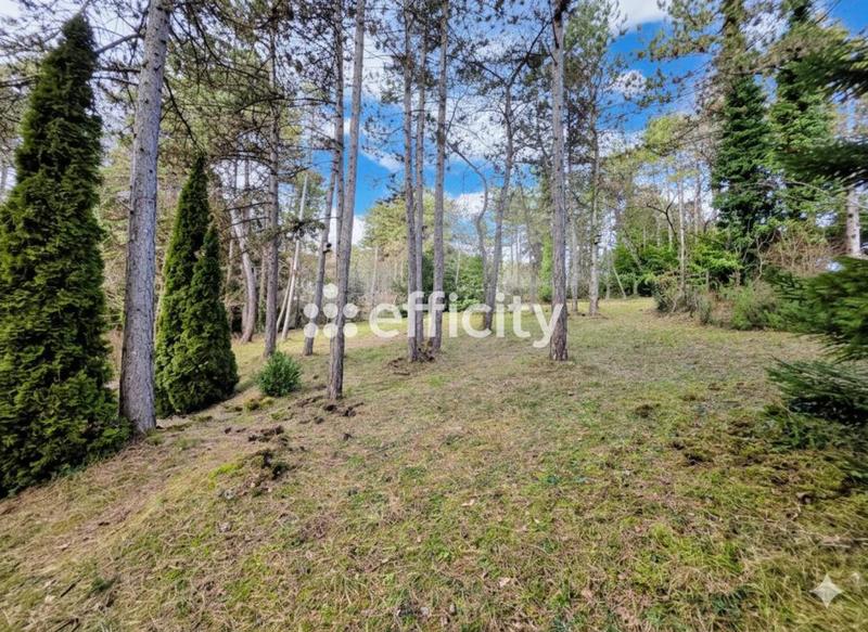 Maison - 131 m² - 6 pièces