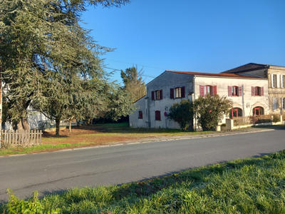 Local commercial - 315 m²